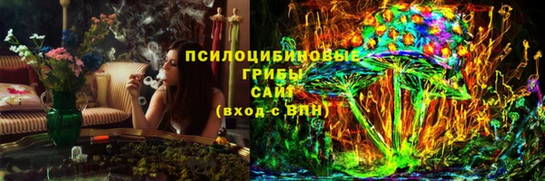 гашик Верея